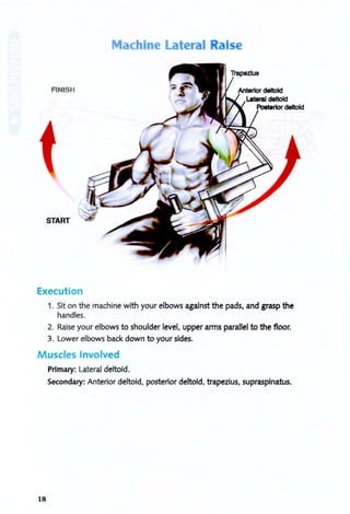 Machine Lateral Raise
FINISH
START
Execution
1. Sit on the machine with your elbows against the pads, and grasp the
handles.
2. Raise your elbows to shoulder level, upper arms parallel to the floor.
3. Lower elbows back down to your sides.
Muscles Involved
Primary: Lateral deltoid.
Secondary: Anterior deltoid, posterior deltoid, trapezius, supraspinatus.
18
 