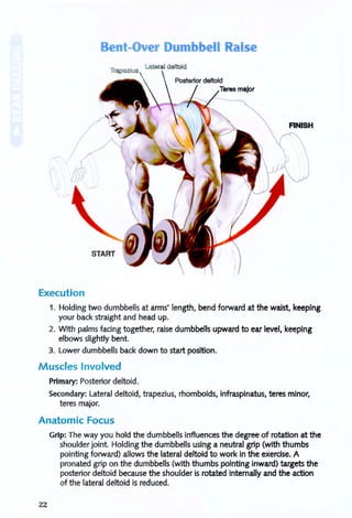 Bent-Over Dumbbell Raise
Lateral deltoid
START
Execution
1. Holding two dumbbells at arms' length, bend forward at the waist, keeping
your back straight and head up.
2. With palms facing together, raise dumbbells upward to ear level, keeping
elbows slightly bent.
3. Lower dumbbells back down to start position.
Muscles Involved
Primary: Posterior deltoid.
Secondary: Lateral deltoid, trapezius, rhomboids, infraspinatus, teres minor,
teres major.
Anatomic Focus
22
Grip: The way you hold the dumbbells influences the degree of rotation at the
shoulder joint. Holding the dumbbells using a neutral grip (with thumbs
pointing forward) allows the lateral deltoid to work in the exercise. A
pronated grip on the dumbbells (with thumbs pointing inward) targets the
posterior deltoid because the shoulder is rotated internally and the action
of the lateral deltoid is reduced.
 
