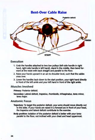 Bent-Over Cable Raise
Execution
1. Grab the handles attached to two low pulleys Oeft-side handle in right
hand, right-side handle in left hand), stand In the middle, then bend for-
ward at the waist with back straight and parallel to the floor.
2. Raise your hands upward in an arc to shoulder level, such that the cables
cross over.
3. Lower the handles back down to the start position, your right hand directly
in front of the left ankle and your left hand in front of the right anlde.
Muscles Involved
Primary: Posterior deltoid.
Secondary: Lateral deltoid, trapezius, rhomboids, Infraspinatus, teres minor,
teres major.
Anatomic Focus
24
Trajectory: To target the posterior deltoid, your arms should move directly out
to the sides. If your hands are raised In aforward arc In front of your head,
the trapezius and lateral deltoid contribute to the exercise.
Body position: Isolation of the posterior deltoid is better with your torso
parallel to the floor, not indined with your chest and head uppermost.
 