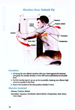 Machine Rear Del Fly
START
Execution
1. Sit facing the rear deltoid machine with your chest against the backrest,
and grasp the handles directly in front with arms outstretched at shoulder
level.
2. Pull the handles back in an arc as far as possible, keeping your elbows high
and arms parallel to the floor.
3. Return the handles to the start position directly in front.
Muscles Involved
Primary: Posterior deltoid.
28
Secondary: Trapezius, rhomboids, lateral deltoid, infraspinatus, teres minor,
teres major.
 