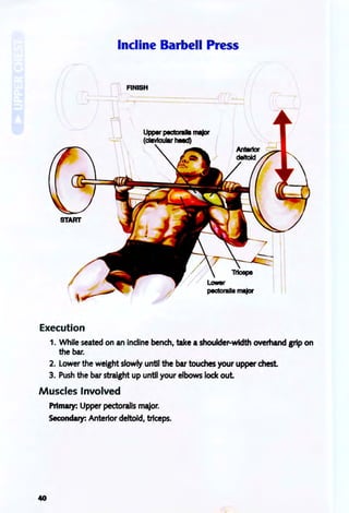 Incline Barbell Press
FINISH
UpperpecIoraIII major
(clavicular head)
I
I 
Execution
1. While seated on an indine bench, take a shoulder-width overhand grip on
the bar.
2. lower the weight slowly until the bar touches your upper chest.
3. Push the bar straight up until your elbows lock out
Muscles Involved
40
PrImary: Upper pectoralis major.
Secondary: Anterior deltoid, triceps.
 