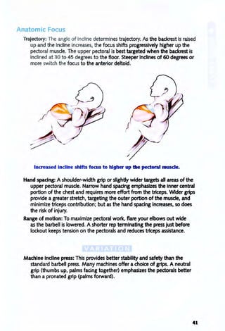 Anatomic Focus
Trajectory: The angle of incline determines trajectory. As the backrest is raised
up and the incline increases, the focus shifts progressively higher up the
pectoral muscle. The upper pectoral is best targeted when the backrest is
inclined at 30 to 45 degrees to the floor. Steeper Inclines of 60 degrees or
more switch the focus to the anterior deltoId.
Increased incline shifts focus to higher up the pectoral muscle.
Hand spacing: A shoulder-width grip or slightly wider targets all areas of the
upper pectoral muscle. Narrow hand spadng emphasizes the inner central
portion of the chest and requires more effort from the triceps. Wider grips
provide a greater stretch, targeting the outer portion of the muscle, and
minimize triceps contribution; but as the hand spacing increases, so does
the risk of injury.
Range of motion: To maximize pectoral work, flare your elbows out wide
as the barbell is lowered. A shorter rep terminating the press just before
lockout keeps tension on the pectorals and reduces triceps assistance.
Machine Incline press: This provides better stability and safety than the
standard barbell press. Many machines offer a chOice of grips. A neutral
grip (thumbs up, palms facing together) emphasIzes the pectorals better
than a pronated grip (palms forward).
41
 