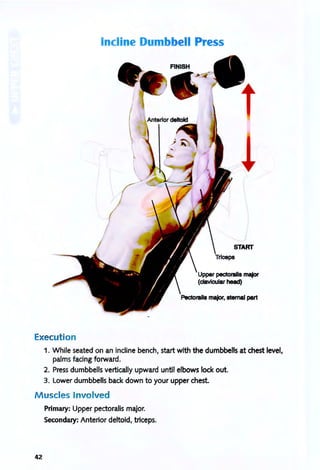 Incline Dumbbell Press
START
Upper pectoralis major
(clavicular head)
Execution
1. While seated on an incline bench, start with the dumbbells at chest level,
palms facing forward.
2. Press dumbbells vertically upward until elbows lock out.
3. Lower dumbbells back down to your upper chest
Muscles Involved
42
Primary: Upper pectoralis major.
Secondary: Anterior deltoid, triceps.
 