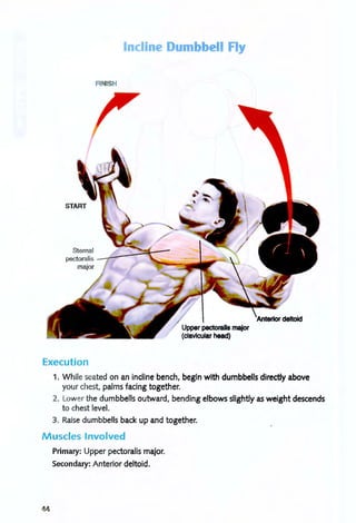 Sternal
pectoralis
FINISH
Incline Dum bell Fly
Upper pectoralis major
(clavicular head)
Execution
1. While seated on an incline bench, begin with dumbbells directly above
your chest, palms facing together.
2. Lower the dumbbells outward, bending elbows slightly as weight descends
to chest level.
3. Raise dumbbells back up and together.
Muscles Involved
44
Primary: Upper pectoralis major.
Secondary: Anterior deltoid.
 