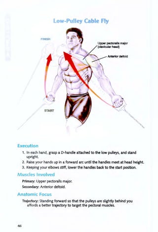 /
Low-Pulley Cable Fly
FINISH
START
Upper pectoralis major
, "" / (clavicular head)
7----xAnterior deltoid
Execution
1. In each hand, grasp a D-handle attached to the low pulleys, and stand
upright.
2. Raise your hands up in a forward arc until the handles meet at head height.
3. Keeping your elbows stiff, lower the handles back to the start position.
Muscles Involved
Primary: Upper pectoralis major.
Secondary: Anterior deltoid.
Anatomic Focus
46
Trajectory: Standing forward so that the pulleys are slightly behind you
affords a better trajectory to target the pectoral muscles.
 