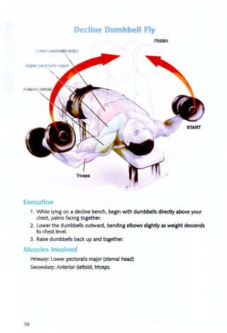 Decline Du ' bbell F y
FINISH
Lower p ctoralis m 'or
Execution
1. While lying on a decline bench, begin with dumbbells directly above your
chest, palms facing together.
2. Lower the dumbbells outward, bending elbows slightly as weight descends
to chest level.
3. Raise dumbbells back up and together.
Muscles Involved
58
Primary: Lower pectoralis major (sternal head)
Secondary: Anterior deltoid, triceps.
 