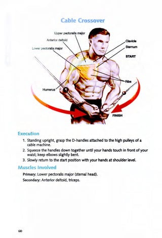 Cable Cr ss v r
Execution
1. Standing upright, grasp the D-handles attached to the high pulleys of a
cable machine.
2. Squeeze the handles down together until your hands touch in front of your
waist; keep elbows slightly bent.
3. Slowly return to the start position with your hands at shoulder level.
Muscles Involved
60
Primary: Lower pectoralis major (sternal head).
Secondary: Anterior deltoid, triceps.
 