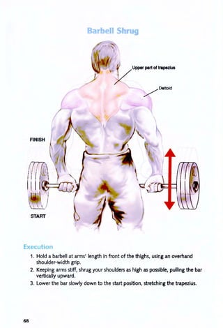 Barbell S r g
/Deltoid
./
FINISH
START
Execution
68
1. Hold a barbell at arms' length in front of the thighs, using an overhand
shoulder-width grip.
2. Keeping arms stiff, shrug your shoulders as high as possible, pulling the bar
vertically upward.
3. Lower the bar slowly down to the start position, stretching the trapezius.
 