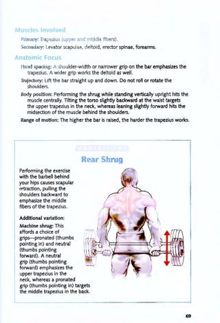 M
Primar : Tra ezius (Lpp r and middl fibers).
ec nd r : Levator scapulae, deltoid, erector spinae, forearms.
a d paci g: A houlder-width or narrower grip on the bar emphasizes the
trapezius. A wider grip works the deltoid as well.
rajectory: Lift the bar straight up and down. Do not roll or rotate the
shoulders.
Body position: Performing the shrug while standing vertically upright hits the
muscle centrally. Tilting the torso slightly backward at the waist targets
the upper trapezius in the neck, whereas leaning slightly forward hits the
midsection of the muscle behind the shoulders.
Range of motion: The higher the bar is raised, the harder the trapezius works.
.......- - - - -- - - - - - - - - - - - - - - --_._ .._.._---
Performing the exercise
with the barbell behind
your hips causes scapular
retraction, pulling the
shoulders backward to
emphasize the middle
fibers of the trapezius.
Additional variation:
Machine shrug: This
affords a choice of
grips-pronated (thumbs
pointing in) and neutral
(thumbs pointing
forward). A neutral
grip (thumbs pointing
forward) emphasizes the
upper trapezius in the
neck, whereas a pronated
e
grip (thumbs pointing in) targets
the middle trapezius in the back.
...~
69
 