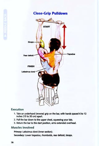 Close-Grip Pulldown
Rear deltoid
--~-TrapezlU8
FINISH
Execution
1. Take an underhand (reverse) grip on the bar, with hands spaced 6 to 12
inches (15 to 30 cm) apart.
2. Pull the bar down to the upper chest, squeezing your lats.
3. Return the bar to the start position, arms extended overhead.
Muscles Involved
Primary: latissimus dorsi (Inner section).
Secondary: lower trapezius, rhomboids, rear deltoid, biceps.
78
 