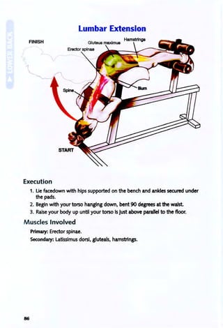 Lumbar Extension
FINISH
Execution
1. Lie facedown with hips supported on the bench and ankles secured under
the pads.
2. Begin with your torso hanging down, bent 90 degrees at the waist.
3. Raise your body up until your torso Is just above parallel to the floor.
Muscles Involved
Primary: Erector spinae.
Secondary: Latissimus dorsi, giuteals, hamstrings.
86
 