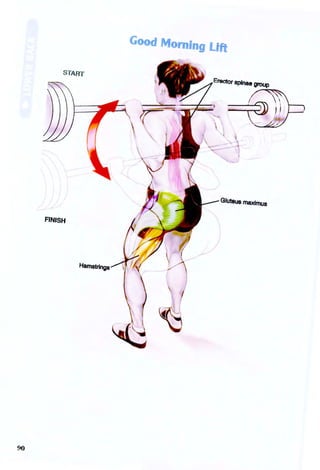 Good Morning Left
START
Erector Spinae group
Gluteus maxfmus
FINISH
Hamstrings
90
 