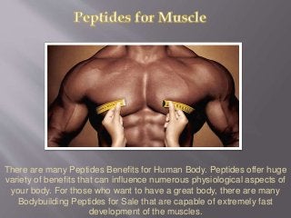 There are many Peptides Benefits for Human Body. Peptides offer huge
variety of benefits that can influence numerous physiological aspects of
your body. For those who want to have a great body, there are many
Bodybuilding Peptides for Sale that are capable of extremely fast
development of the muscles.
 