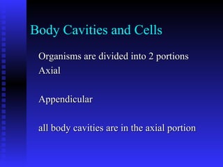 Body Cavities and Cells
Organisms are divided into 2 portionsOrganisms are divided into 2 portions
AxialAxial
AppendicularAppendicular
all body cavities are in the axial portionall body cavities are in the axial portion
 