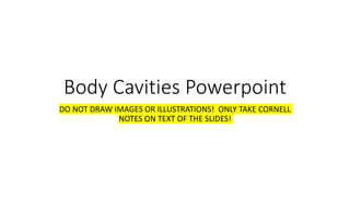 Body Cavities Powerpoint
DO NOT DRAW IMAGES OR ILLUSTRATIONS! ONLY TAKE CORNELL
NOTES ON TEXT OF THE SLIDES!
 