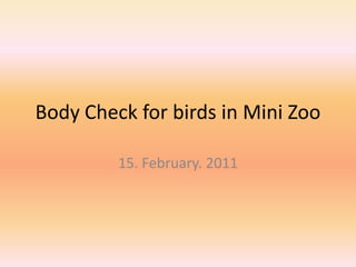 Body Check for birds in Mini Zoo 15. February. 2011 