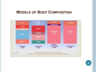 Body composition | PPTX