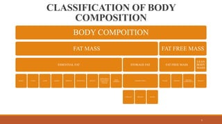 BODY COMPOSITION.pptx