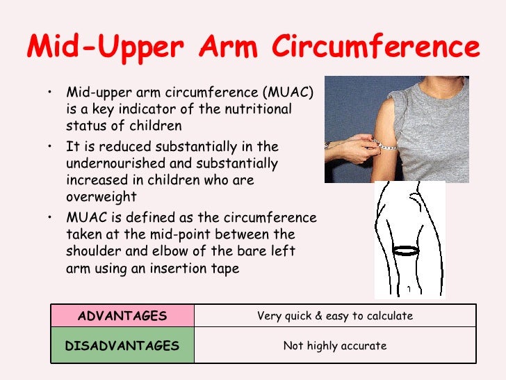 Body Composition body-composition