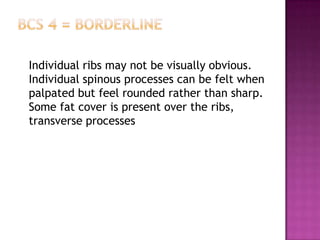 Individual ribs may not be visually obvious.
Individual spinous processes can be felt when
palpated but feel rounded rather than sharp.
Some fat cover is present over the ribs,
transverse processes
 