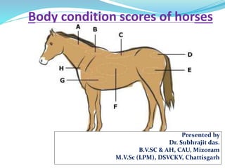Body condition scores of horses
Presented by
Dr. Subhrajit das.
B.V.SC & AH, CAU, Mizoram
M.V.Sc (LPM), DSVCKV, Chattisgarh
 