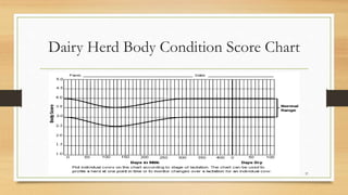 Body condition scoring (bcs) | PPTX