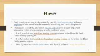 Body condition scoring (bcs) | PPTX