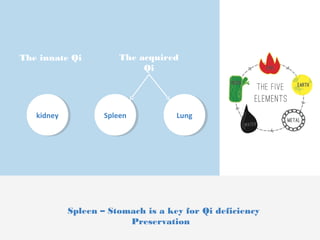 The innate Qi 
The acquired 
Qi 
kkididnneeyy SSppleleeenn LLuunngg 
Spleen – Stomach is a key for Qi deficiency 
Preservation 
 