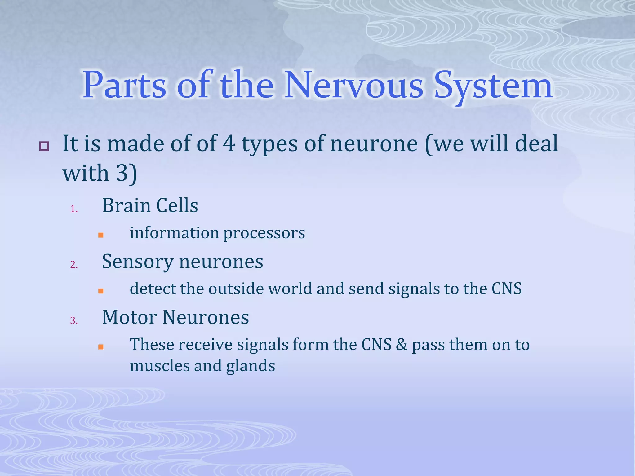 Body control systems | PPTX