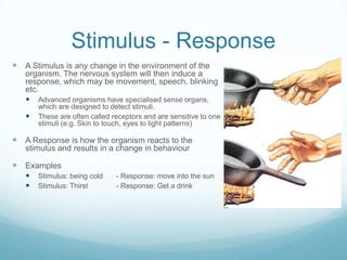 Stimul Body control systems nervous system | PPTX