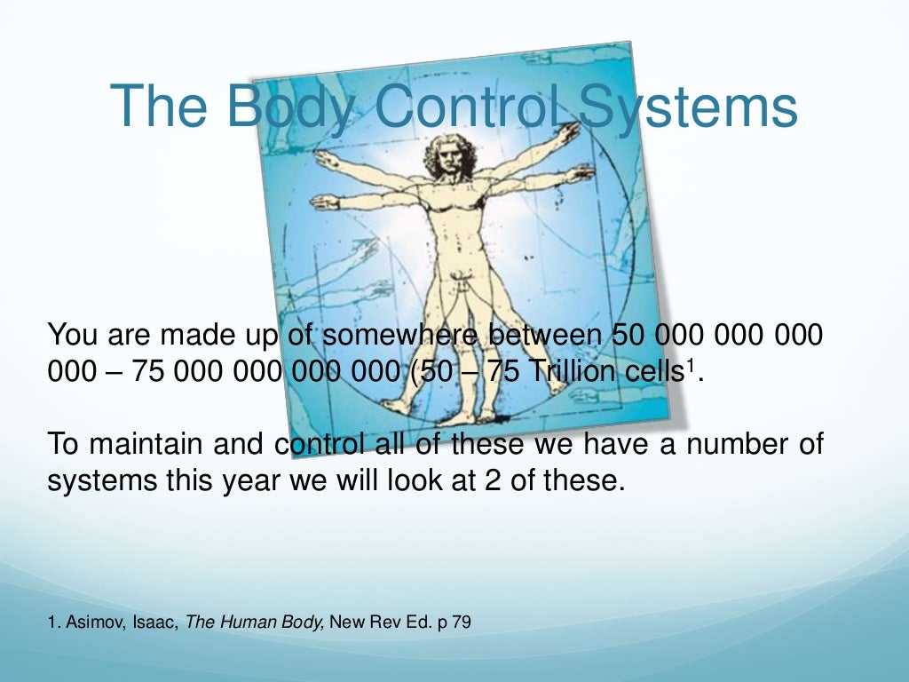 Body control systems nervous system