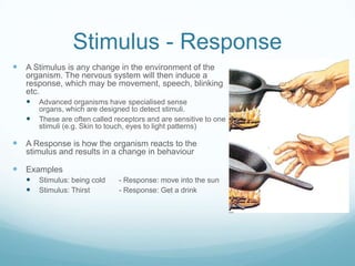 Stimulus - Response
 A Stimulus is any change in the environment of the
   organism. The nervous system will then induce a
   response, which may be movement, speech, blinking
   etc.
    Advanced organisms have specialised sense
       organs, which are designed to detect stimuli.
      These are often called receptors and are sensitive to one
       stimuli (e.g. Skin to touch, eyes to light patterns)

 A Response is how the organism reacts to the
   stimulus and results in a change in behaviour

 Examples
      Stimulus: being cold    - Response: move into the sun
      Stimulus: Thirst        - Response: Get a drink
 