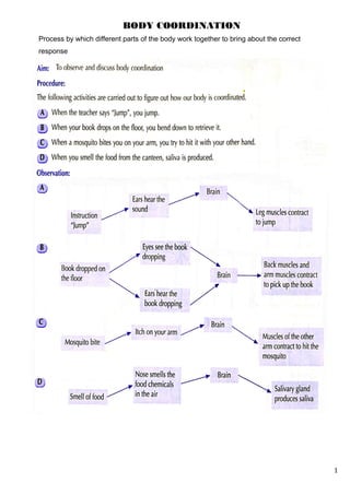 1
BODY COORDINATION
Process by which different parts of the body work together to bring about the correct
response
 