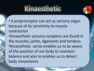 • A proprioceptor can act as sensory organ
because of its sensitivity to muscle
contraction
•Kinaesthetic sensory receptors are found in
the muscles, joints, ligaments and tendons
•Kinaesthetic sense enables us to be aware
of the position of our body to maintain
balance and also to enables us to detect
body movements
 