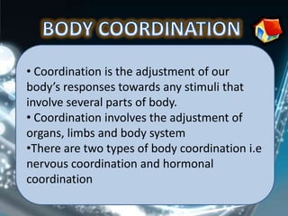 • Coordination is the adjustment of our
body’s responses towards any stimuli that
involve several parts of body.
• Coordination involves the adjustment of
organs, limbs and body system
•There are two types of body coordination i.e
nervous coordination and hormonal
coordination
 
