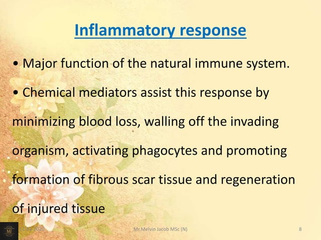 The Critical Defense: Vaccinations and Preventive Care