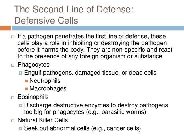 Defense Mechanisms Worksheets 0425