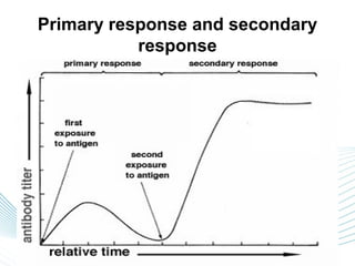 Primary response and secondary
             response
    Primary response             Secondary response

1. Response for forming       1. Response that occurs
   antibodies that occur on      after second exposure to
   first exposure to a           the same antigen.
   specific antigen.
2. Appears 1 week after,      2. Begins     rapidly    after
   with weak potency and         exposure to the antigen
   short life                    (often within hours) is far
                                 more potent, and forms
                                 antibodies for many
                                 months rather than for
                                 only a few weeks.
                                                    Page 19
 
