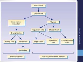 Body defense mechanism final | PPTX