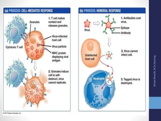 Body defense mechanism final | PPTX