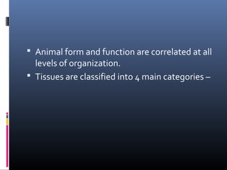  Animal form and function are correlated at all
levels of organization.
 Tissues are classified into 4 main categories –
 