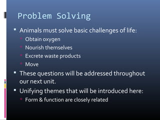 Problem Solving
 Animals must solve basic challenges of life:
 Obtain oxygen
 Nourish themselves
 Excrete waste products
 Move
 These questions will be addressed throughout
our next unit.
 Unifying themes that will be introduced here:
 Form & function are closely related
 