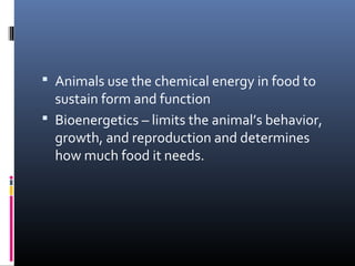  Animals use the chemical energy in food to
sustain form and function
 Bioenergetics – limits the animal’s behavior,
growth, and reproduction and determines
how much food it needs.
 