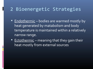2 Bioenergetic Strategies
 Endothermic – bodies are warmed mostly by
heat generated by matabolism and body
temperature is maintained within a relatively
narrow range.
 Ectothermic – meaning that they gain their
heat mostly from external sources
 