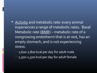  Activity and metabolic rate: every animal
experiences a range of metabolic rates. Basal
Metabolic rate (BMR) – metabolic rate of a
nongrowing endotherm that is at rest, has an
empty stomach, and is not experiencing
stress.
 1,600-1,800 kcal per day for adult male
 1,300-1,500 kcal per day for adult female
 