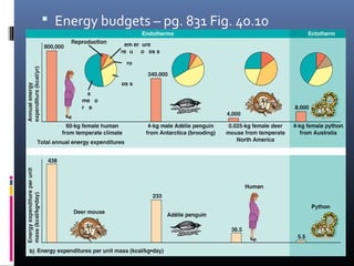  Energy budgets – pg. 831 Fig. 40.10
 