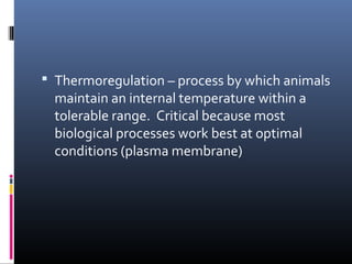  Thermoregulation – process by which animals
maintain an internal temperature within a
tolerable range. Critical because most
biological processes work best at optimal
conditions (plasma membrane)
 