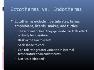 Ectotherms vs. Endotherms
 Ectotherms include invertebrates, fishes,
amphibians, lizards, snakes, and turtles
 The amount of heat they generate has little effect
on body temperature
 Bask in the sun to warm
 Seek shade to cool
 Can tolerate greater variation in internal
temperature than endotherms
 Not “cold-blooded”
 
