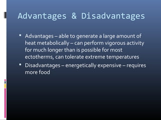 Advantages & Disadvantages
 Advantages – able to generate a large amount of
heat metabolically – can perform vigorous activity
for much longer than is possible for most
ectotherms, can tolerate extreme temperatures
 Disadvantages – energetically expensive – requires
more food
 