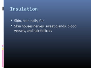 Insulation
 Skin, hair, nails, fur
 Skin houses nerves, sweat glands, blood
vessels, and hair follicles
 